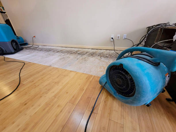 Reliable Basement Flood Cleanup contractor in Hugo, OK by Hirex Water Damage