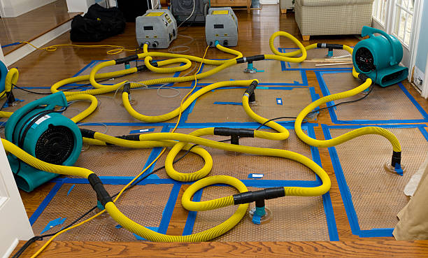 Professional Basement Flood Cleanup technician working in Hugo, OK